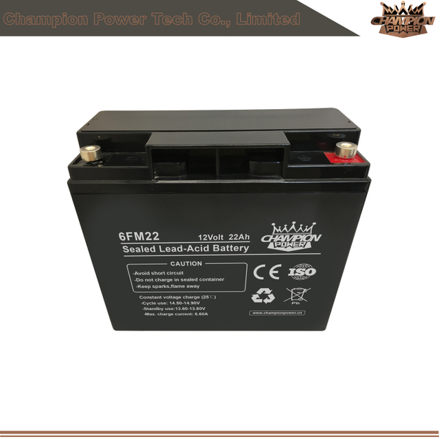 Batterie AGM 6FM22 12V22AH