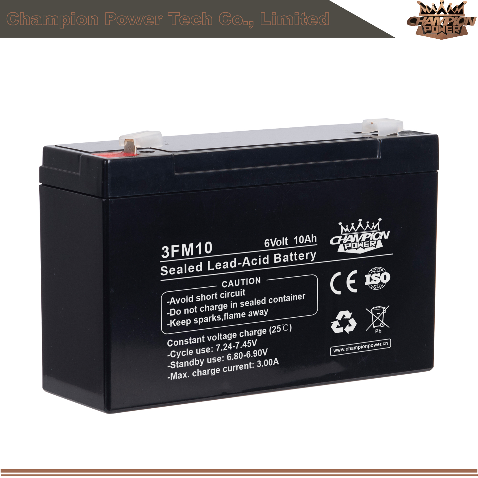 Batterie AGM 3FM10 6V10AH