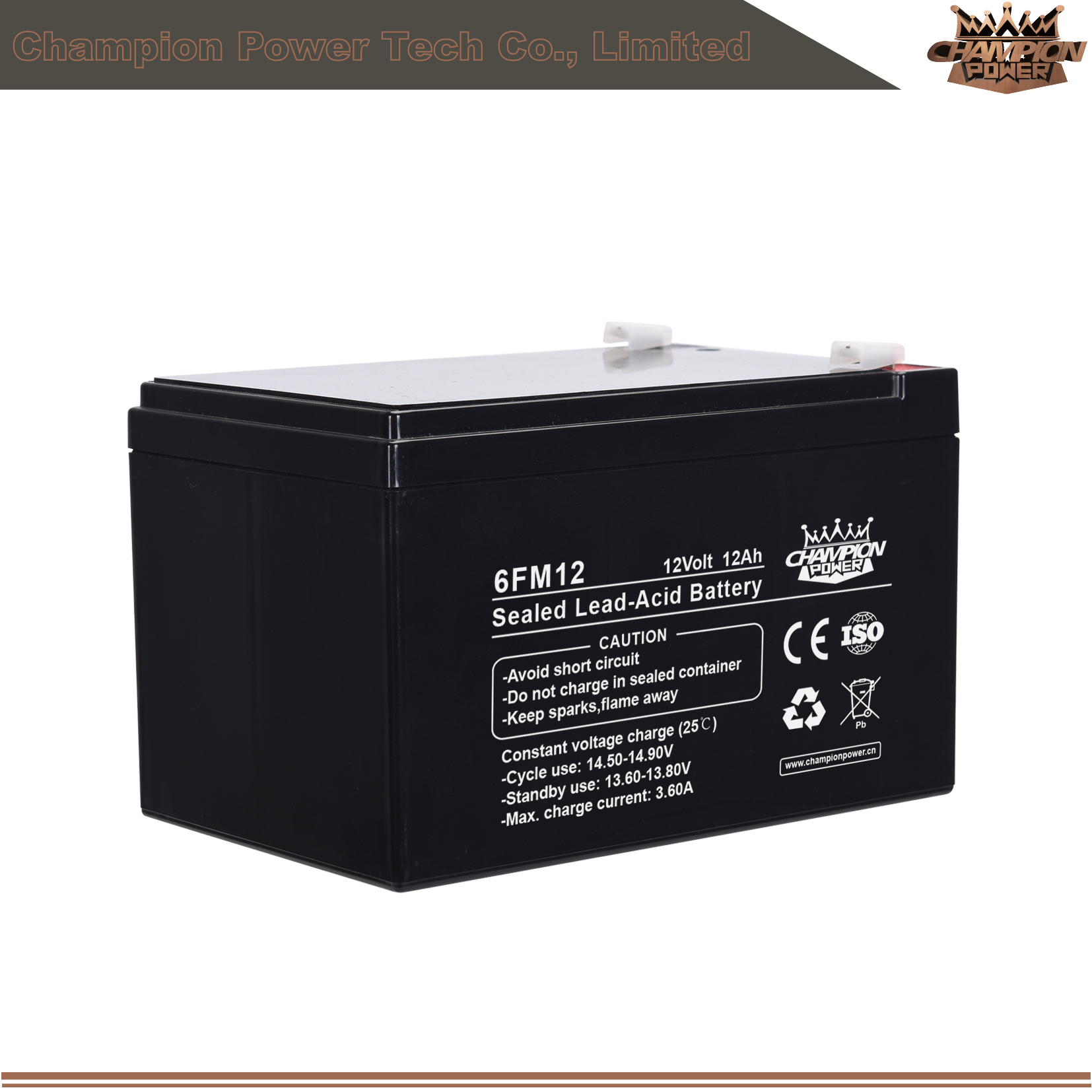 Batterie AGM 6FM12 12V12AH
