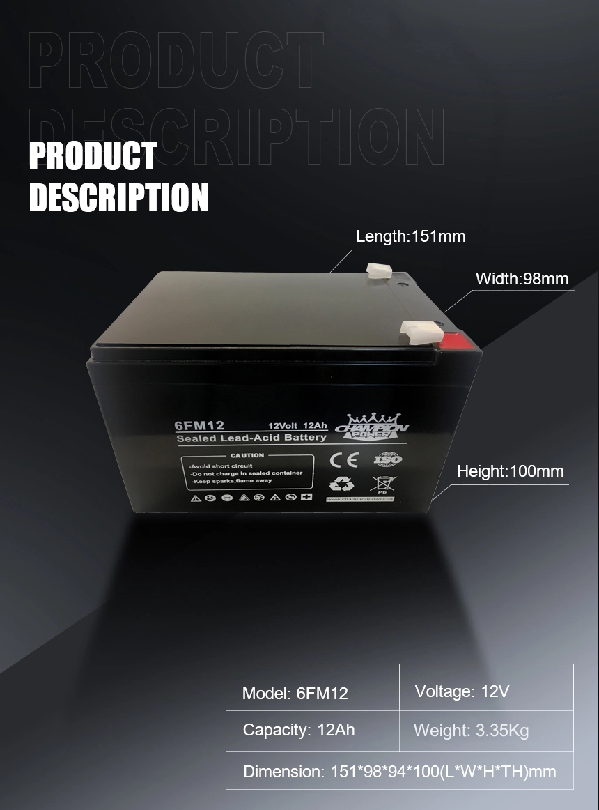 Batterie AGM 12V12AH