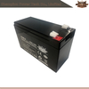 Batterie VRLA 12V9AH pour UPS