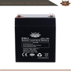 Batterie AGM 6FM4.5 12V4.5AH