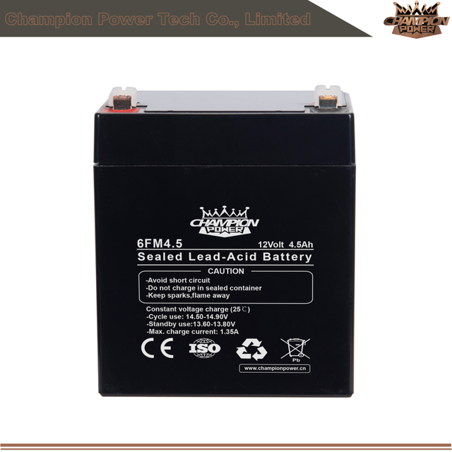 Batterie AGM 6FM4.5 12V4.5AH