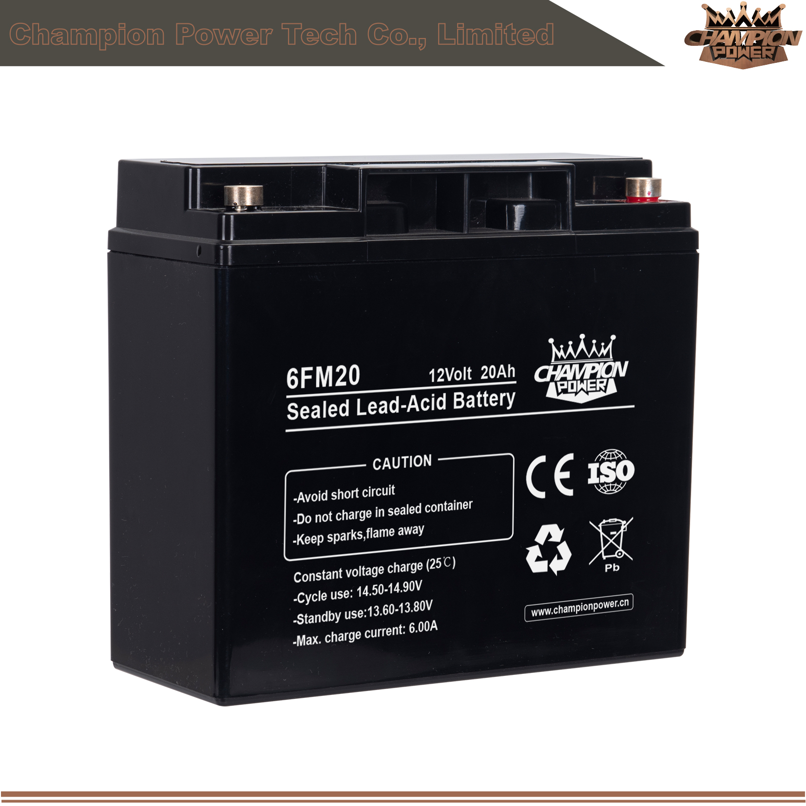 Batterie AGM 6FM20 12V20AH