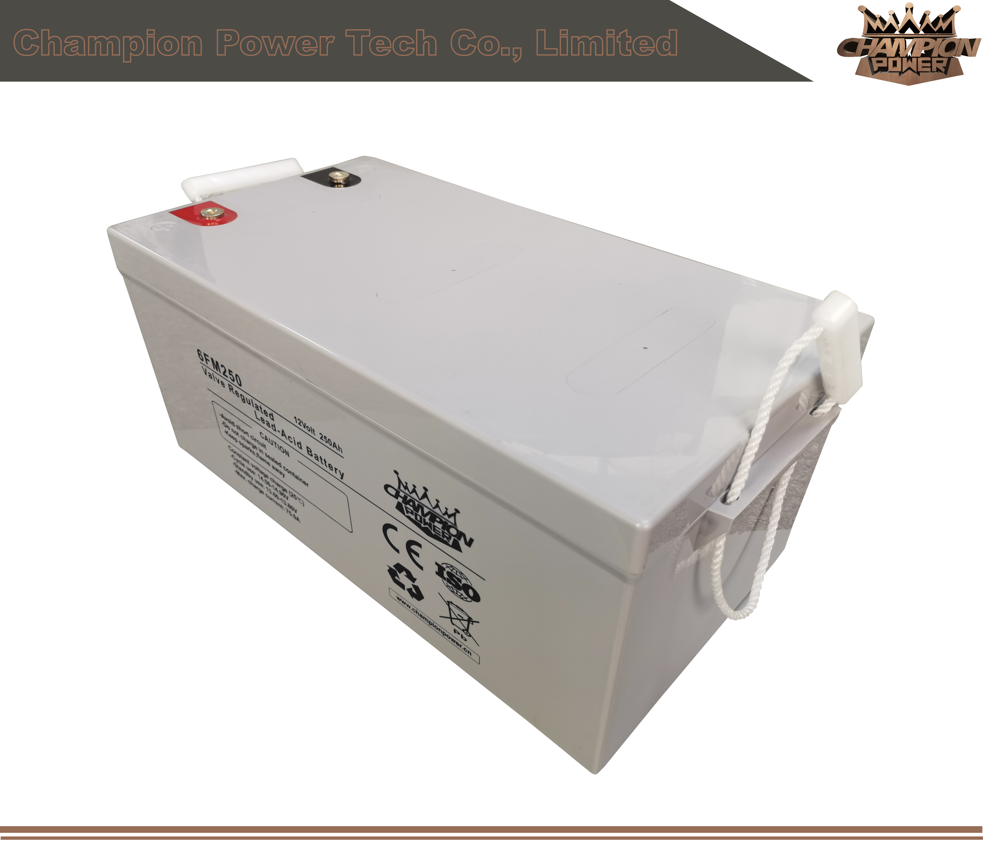 Batterie AGM 6FM250 12V250AH