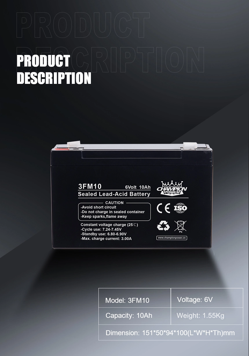 Batterie AGM 6V10AH