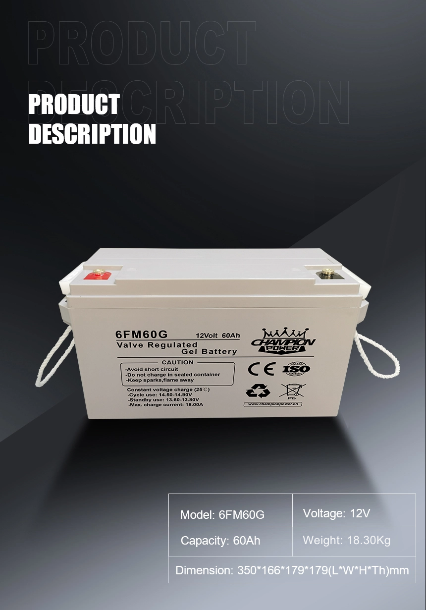 Batterie en gel 12V60AH
