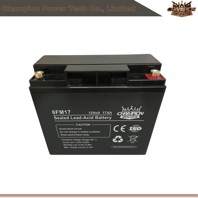 Batterie AGM 6FM17 12V17AH