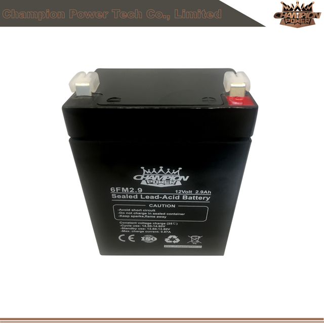 Batterie AGM 6FM2.9 12V2.9AH