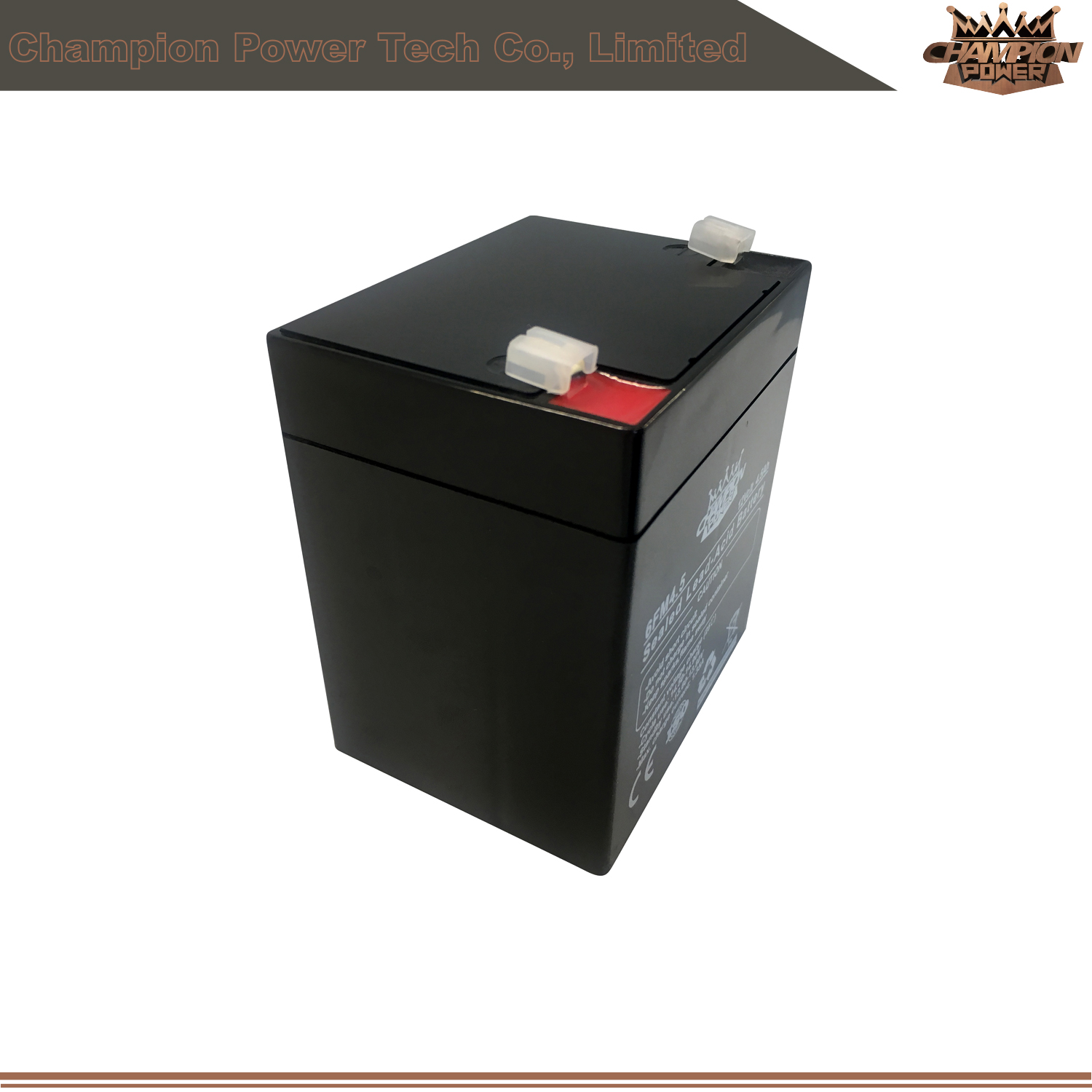 Batterie VRLA 12v5.5AH pour UPS