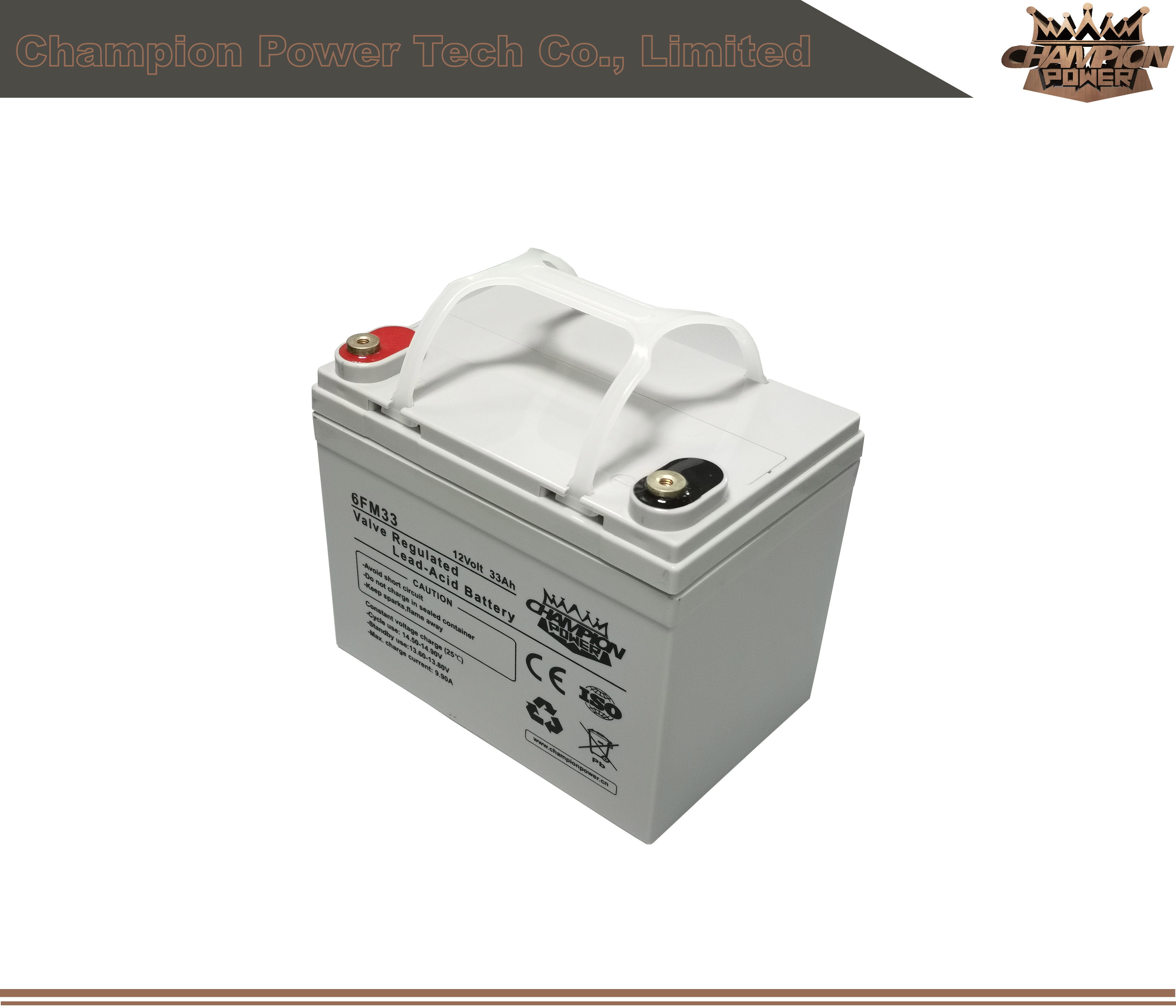 Batterie AGM 6FM33 12V33AH