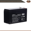 Batterie AGM 6FM9.0 12V9AH