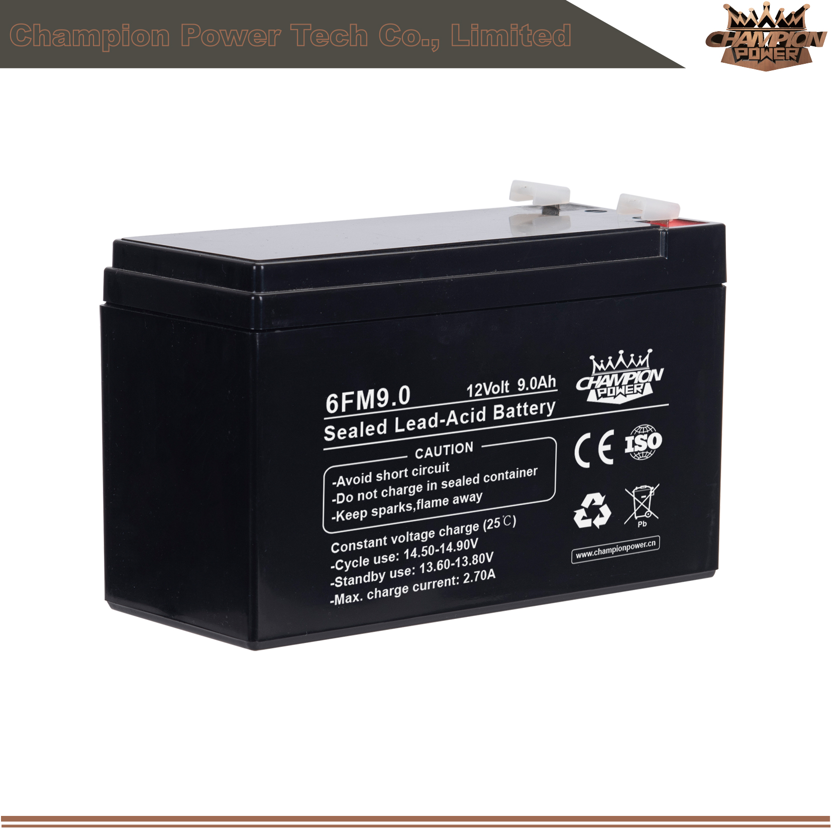 Batterie AGM 6FM9.0 12V9AH