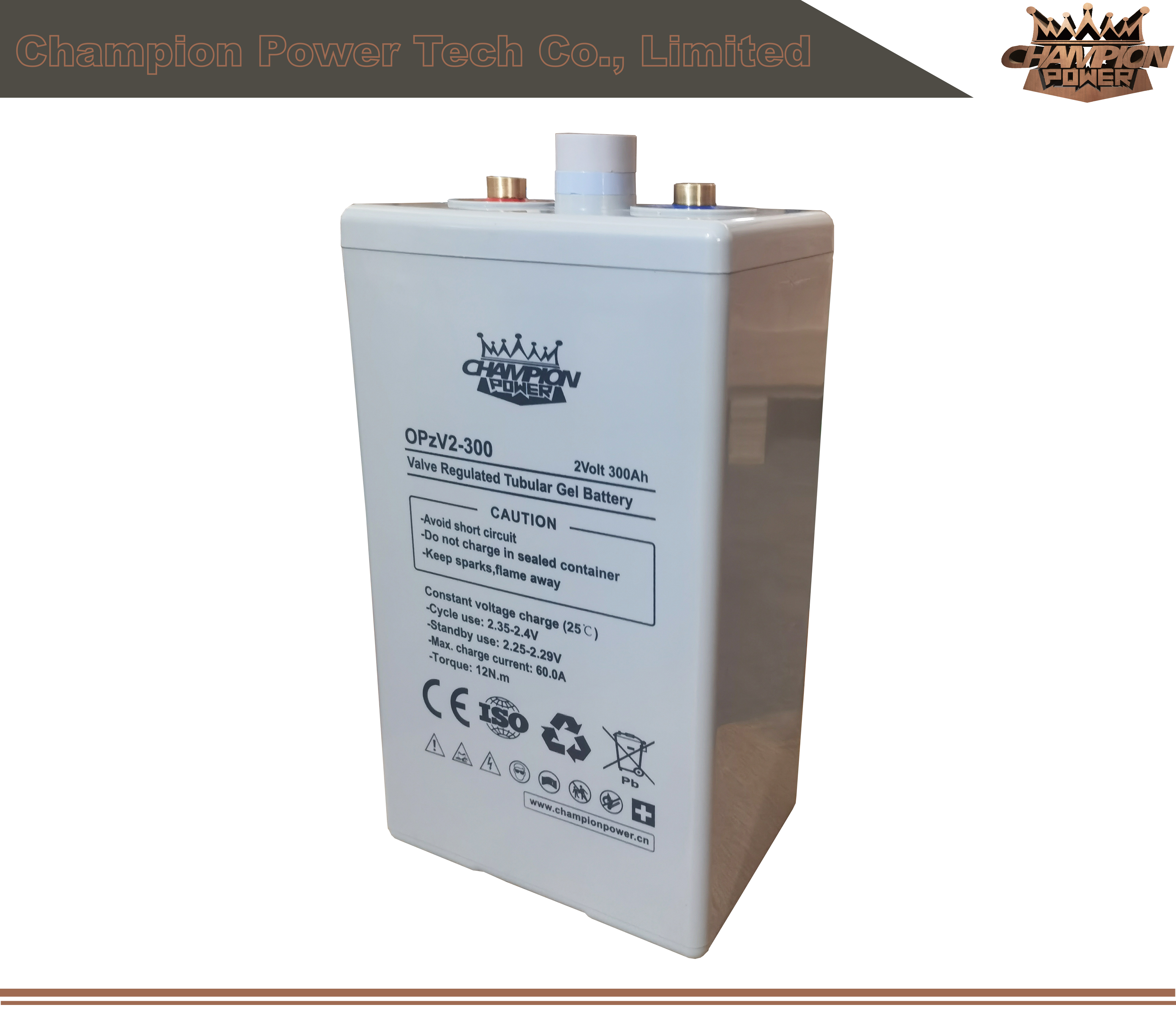 OPZV2-300 2V300AH BATTERIE OPZV