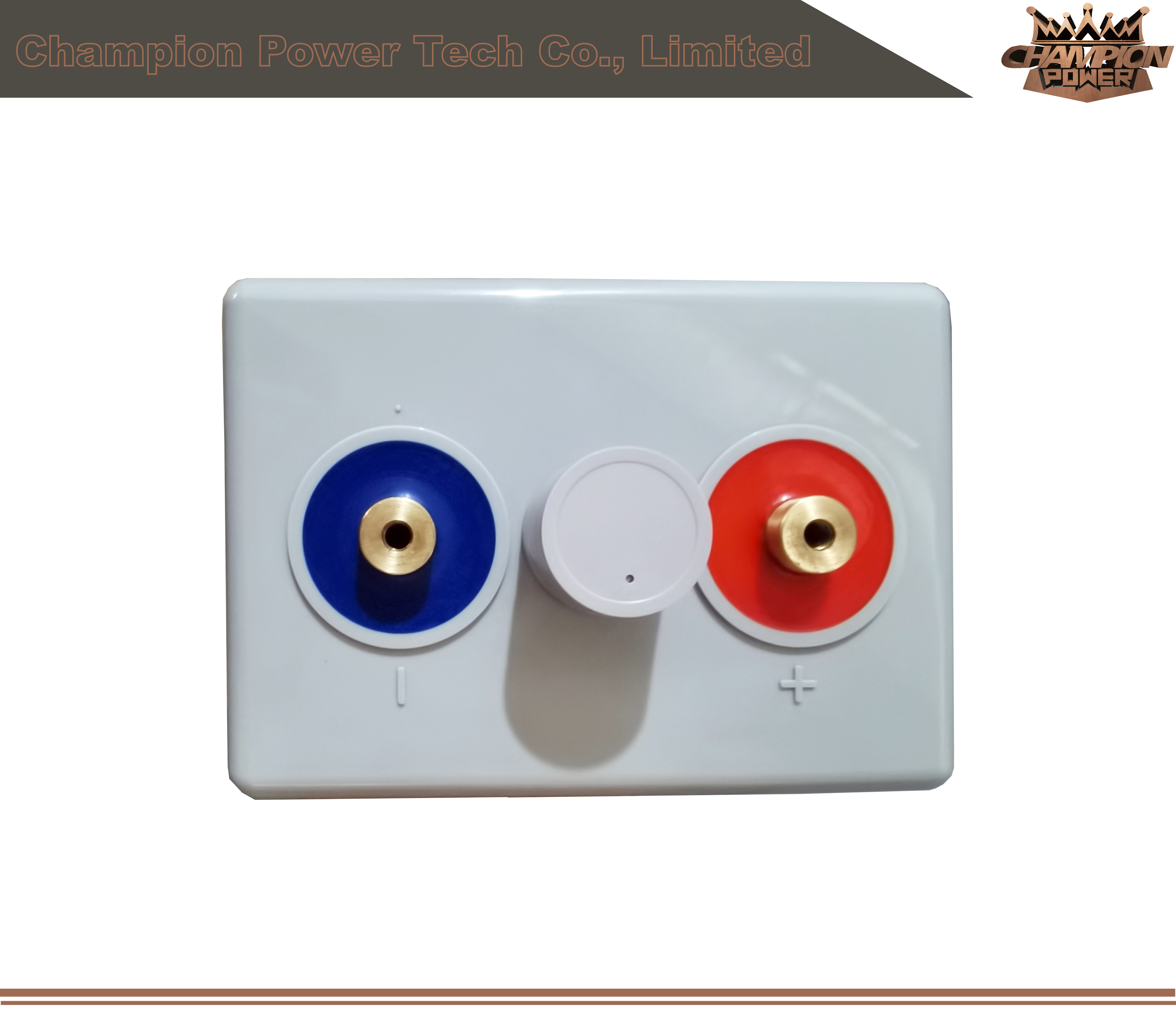 OPZV2-250 2V250AH BATTERIE OPZV