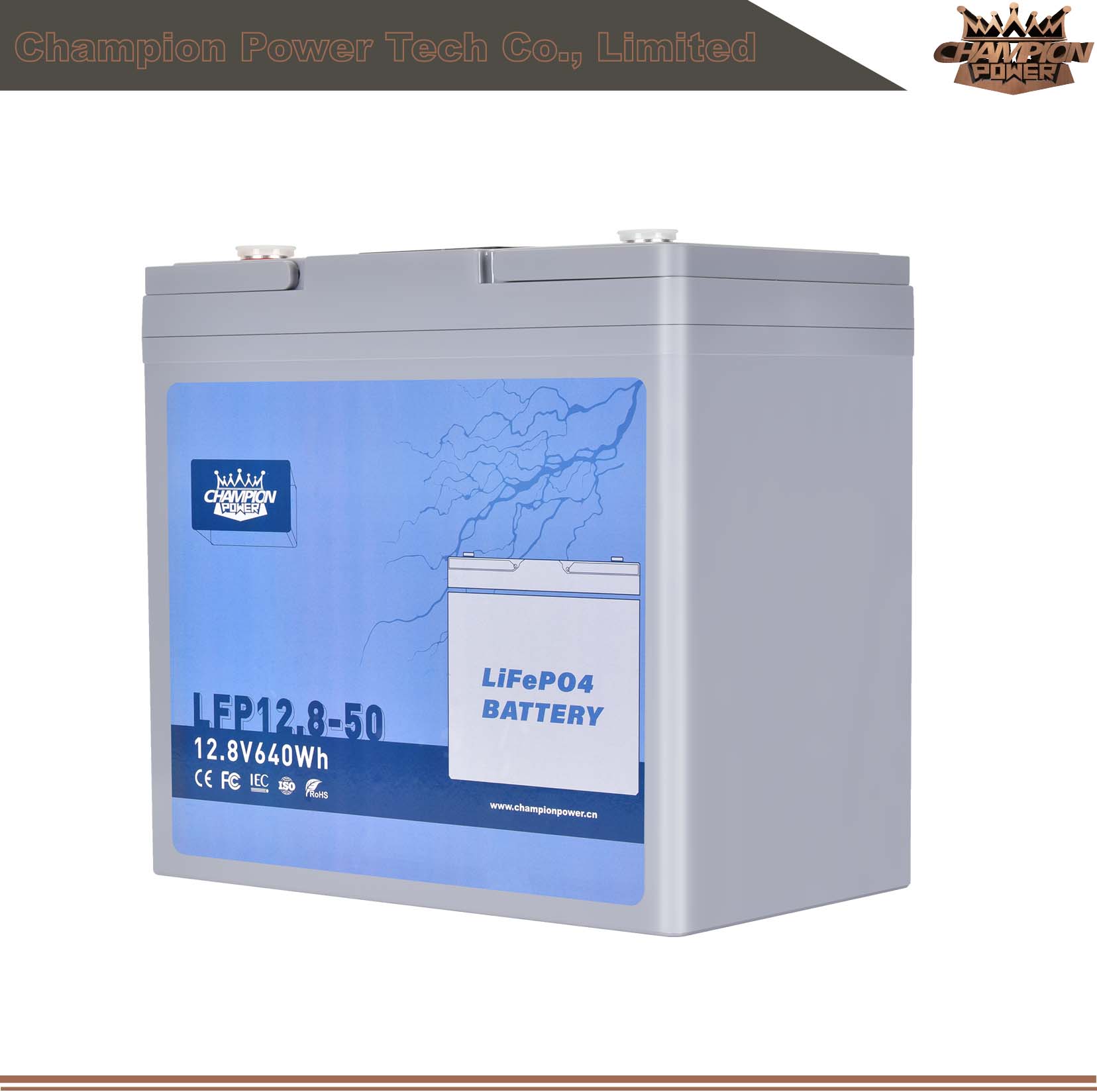 Batterie LFP12.8-50 12V50AH LIFEPO4