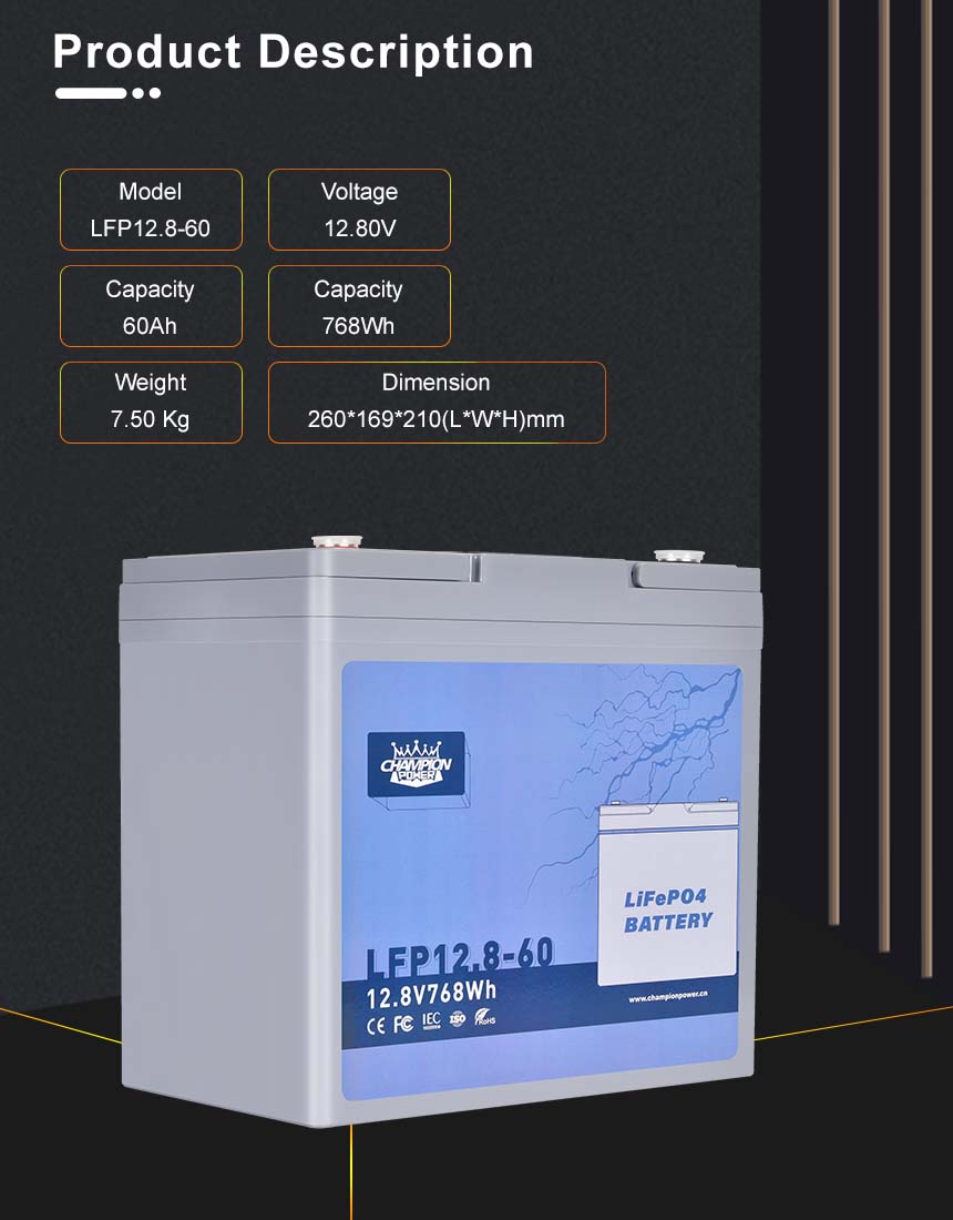 DESCRIPTION DU PRODUIT DE BATTERIE LIFEPO4 12V60AH