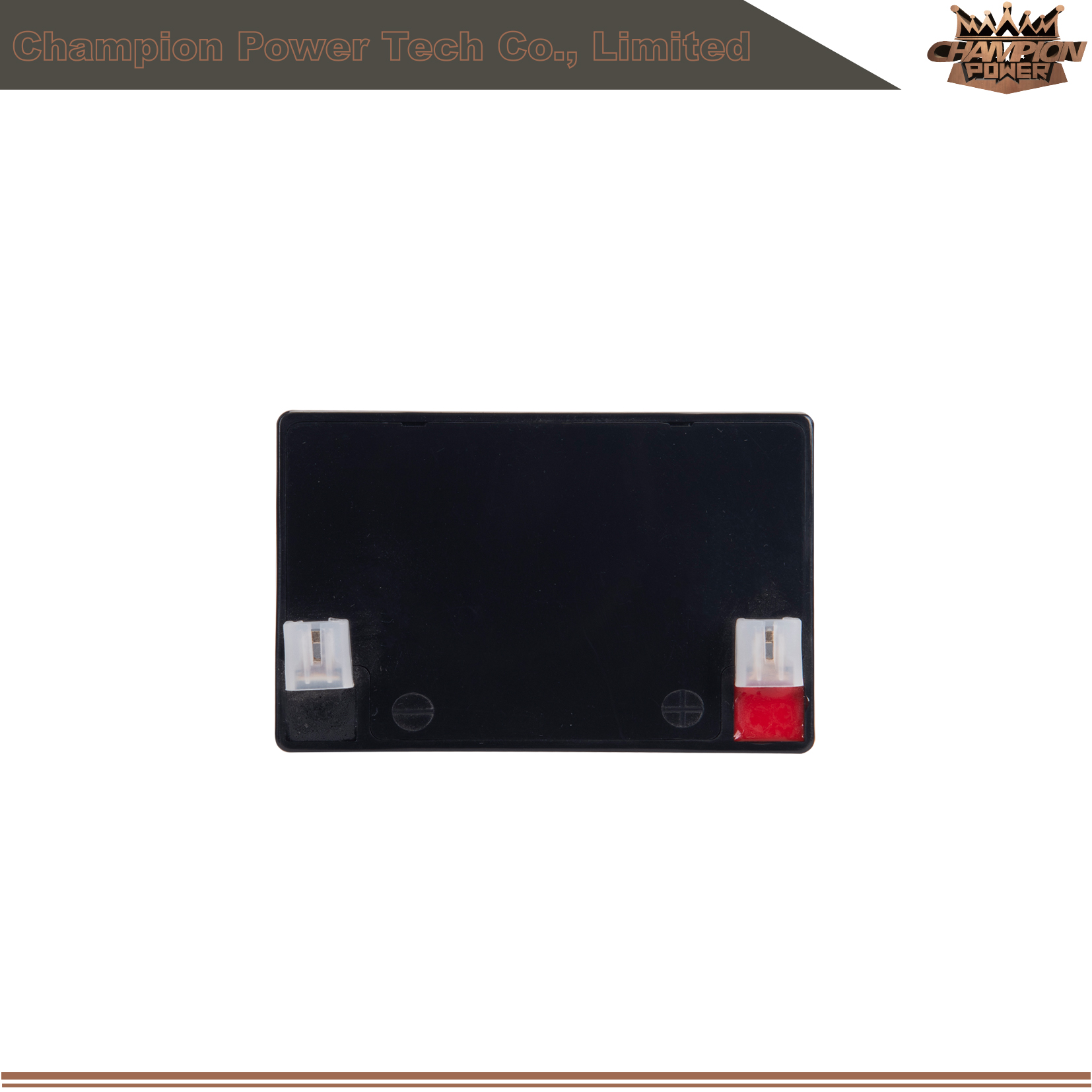 Batterie AGM 6FM2.0 12V2.0AH