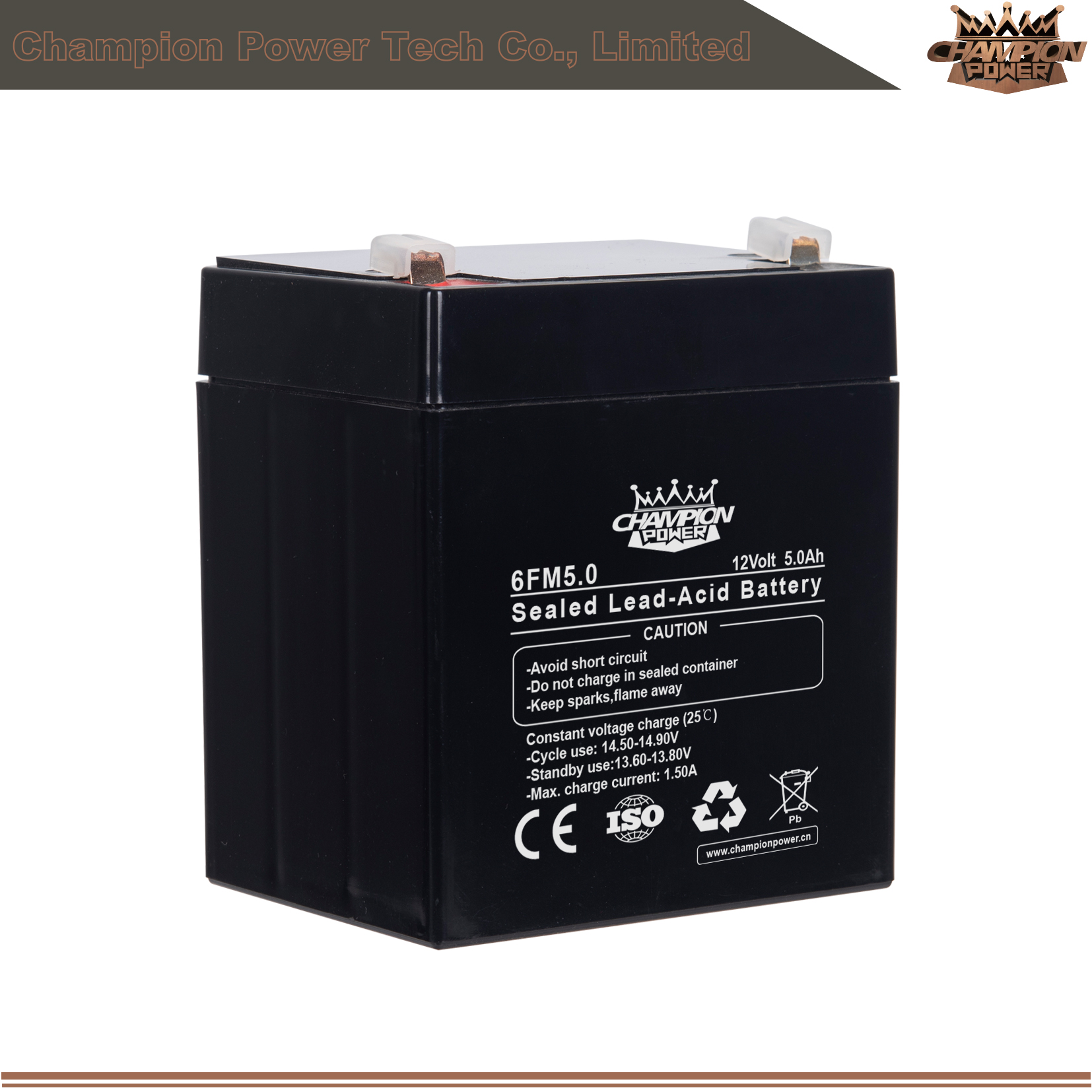Batterie AGM 6FM5.0 12V5AH 