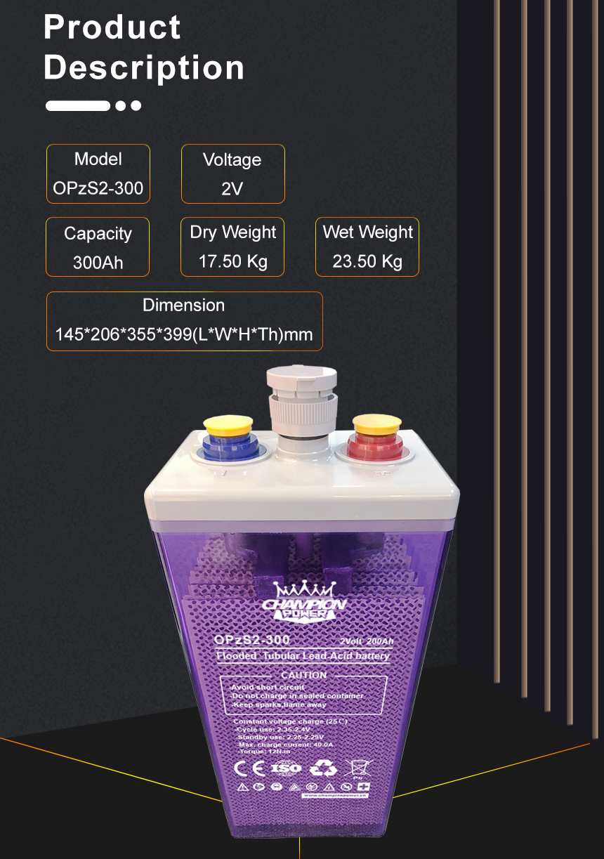 DESCRIPTION DU PRODUIT OPZS BATERY 2V300AH OPZS
