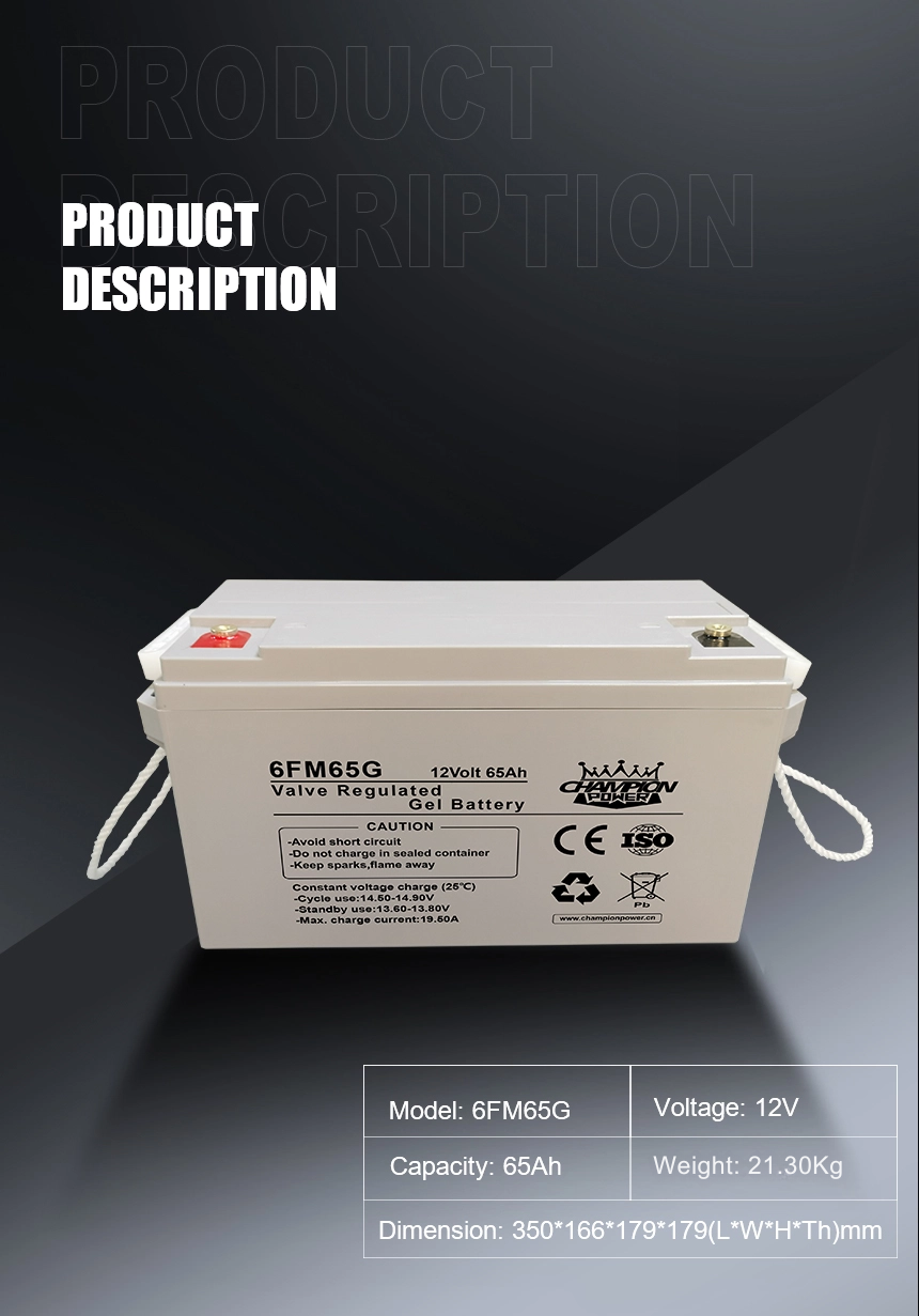 Batterie en gel 12V65AH