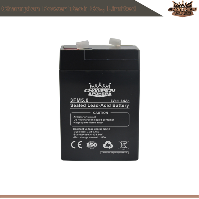 Batterie AGM 3FM5.0 6V5.0AH