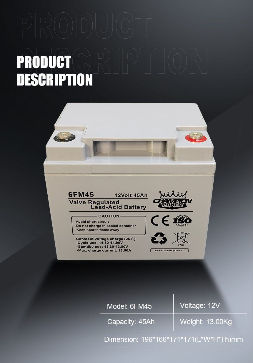 DESCRIPTION DU PRODUIT 12V45AH