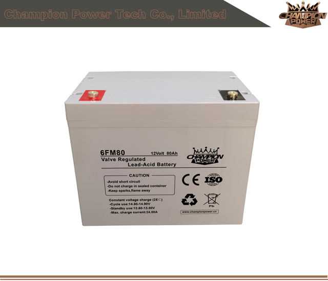 Batterie AGM 6FM80 12V80AH