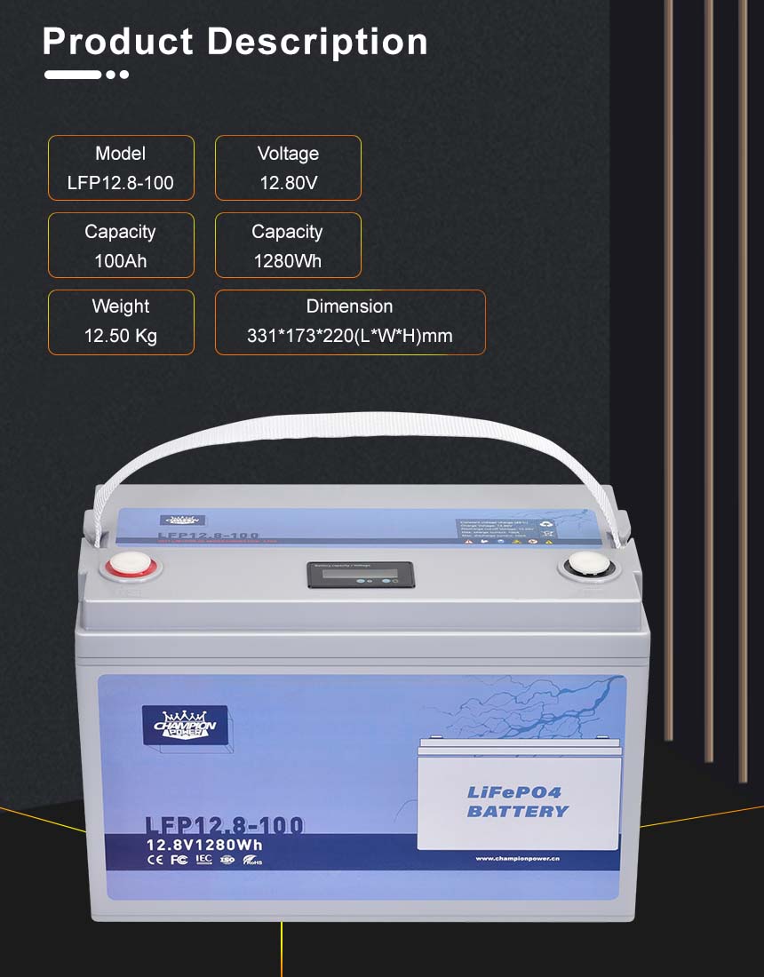DESCRIPTION DU PRODUIT DE BATTERIE LIFEPO4 12V100AH