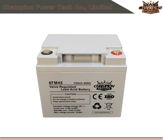 Batterie AGM 6FM45 12V45AH