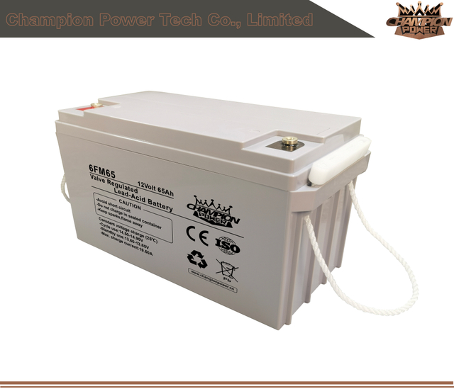 Batterie AGM 6FM65 12V65AH