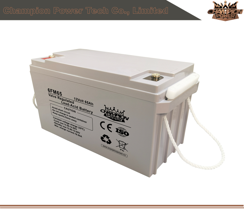 Batterie AGM 6FM65 12V65AH