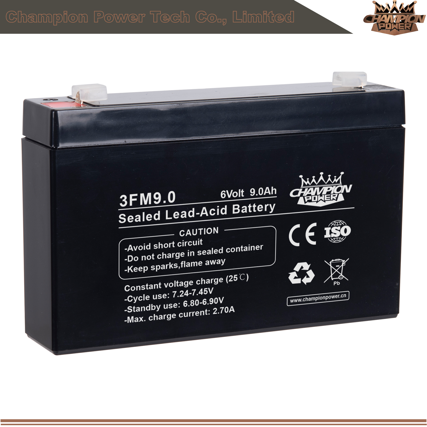 3FM9.0 Batterie AGM 6V9.0AH