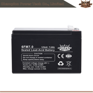 Batterie AGM 6FM7.0 12V7AH