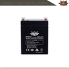 Batterie AGM 6FM2.0 12V2.0AH