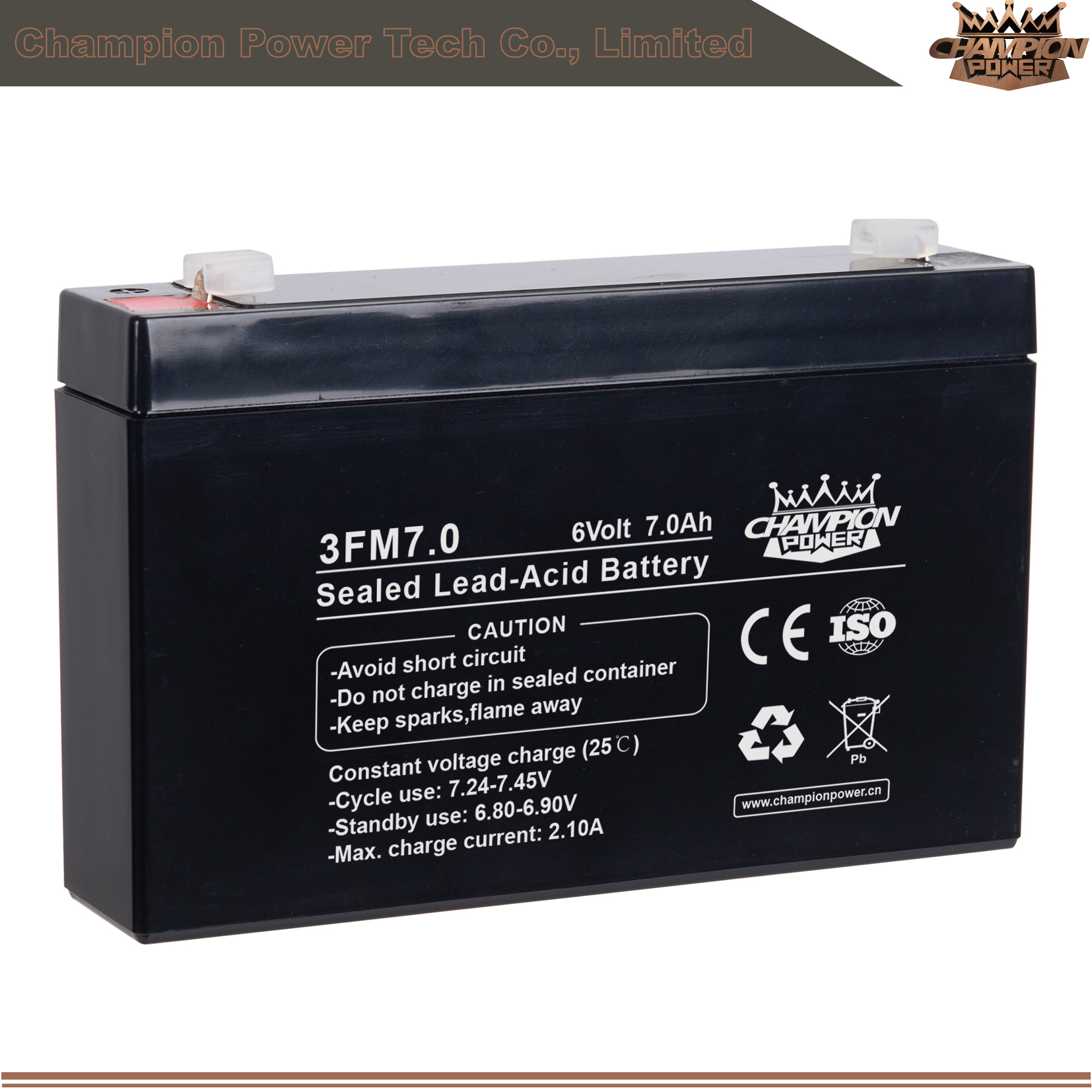 3FM7.0 Batterie AGM 6V7.0AH