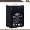 Batterie AGM 3FM4.0 6V4.0AH