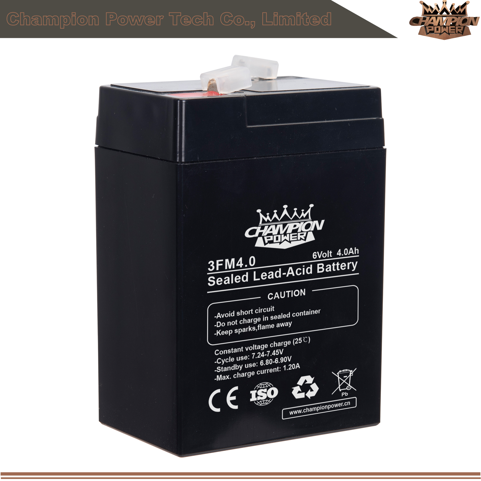 Batterie AGM 3FM4.0 6V4.0AH