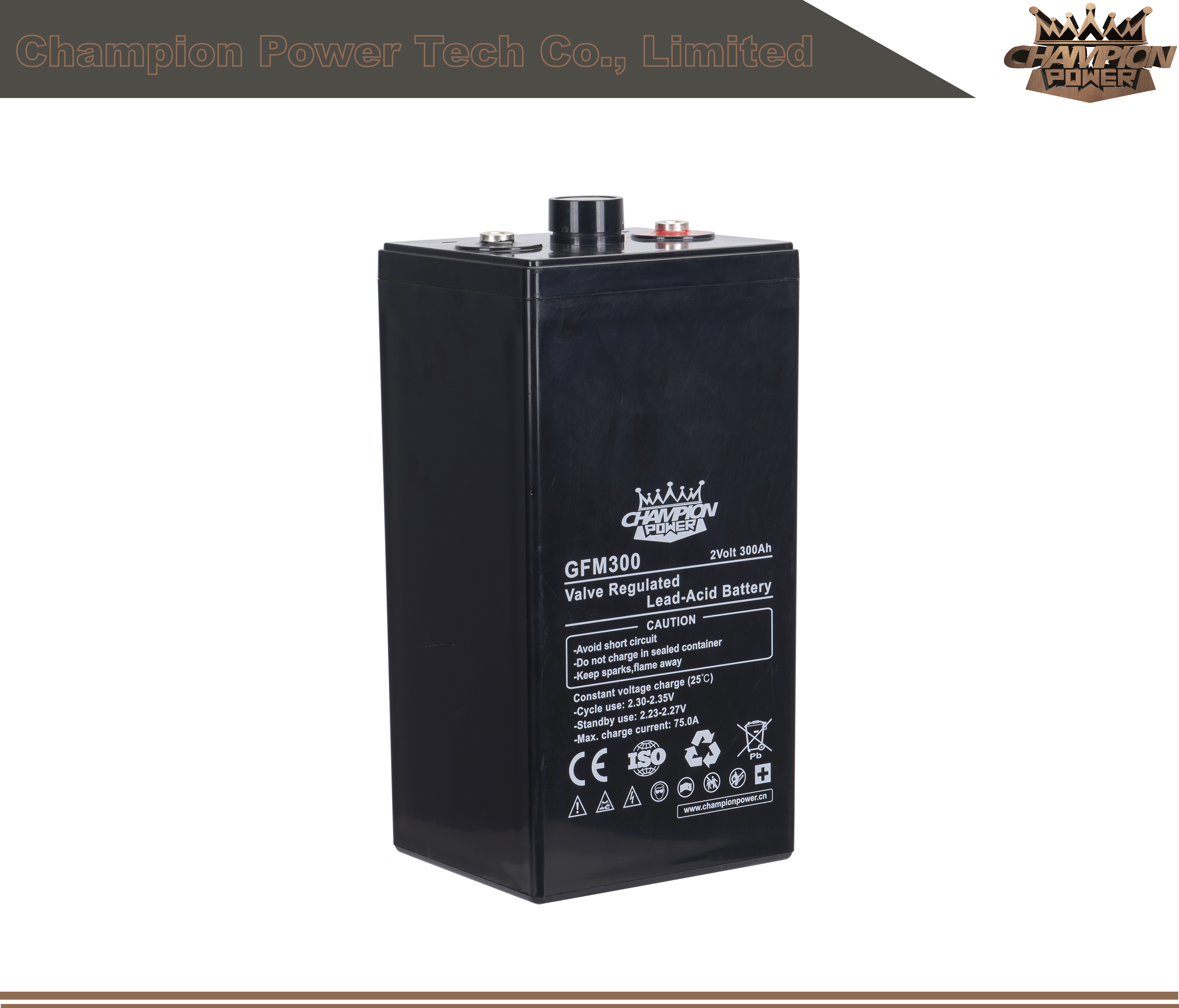 Batterie d'acide de plomb GFM300 2V300AH