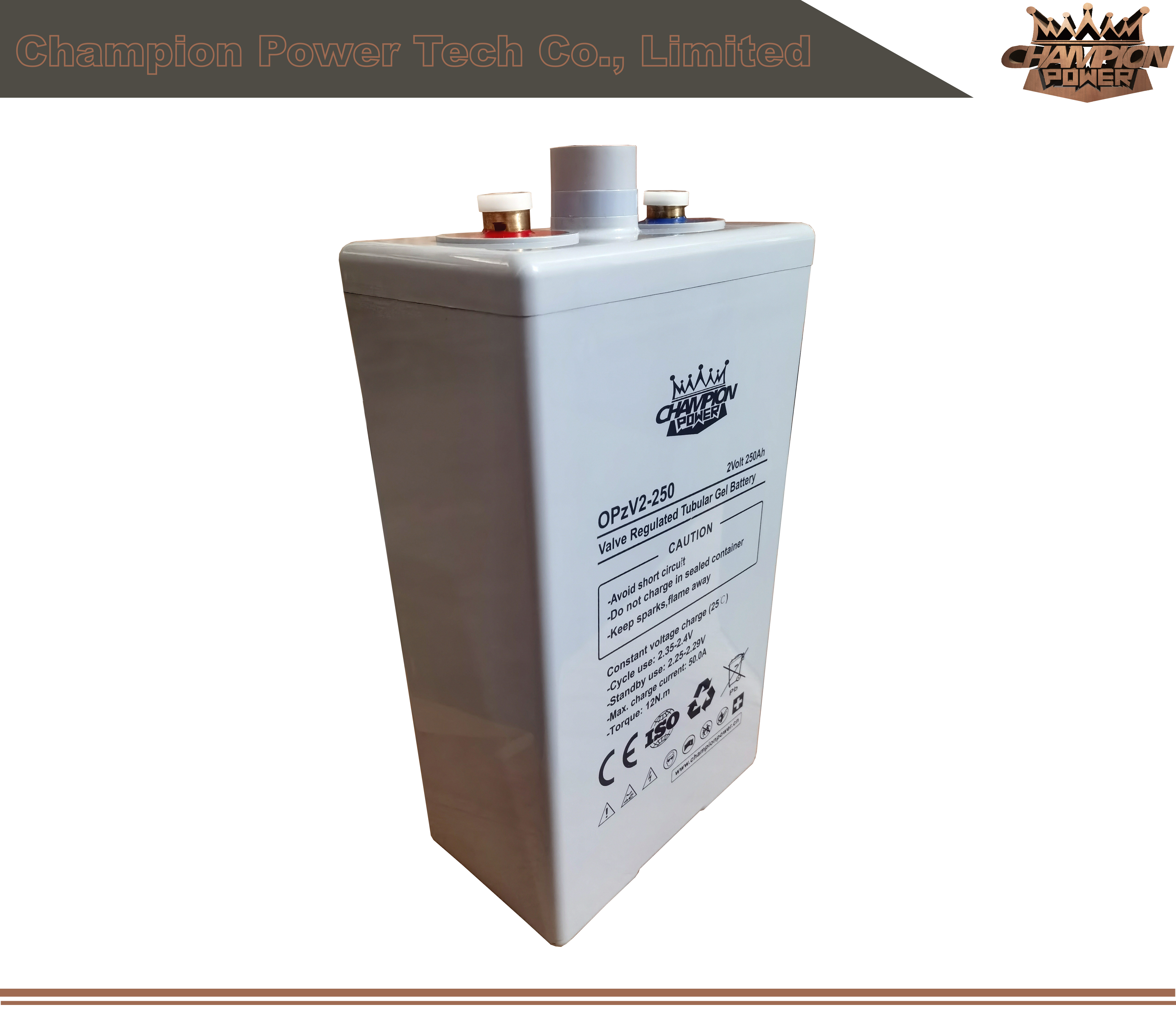 OPZV2-250 2V250AH BATTERIE OPZV