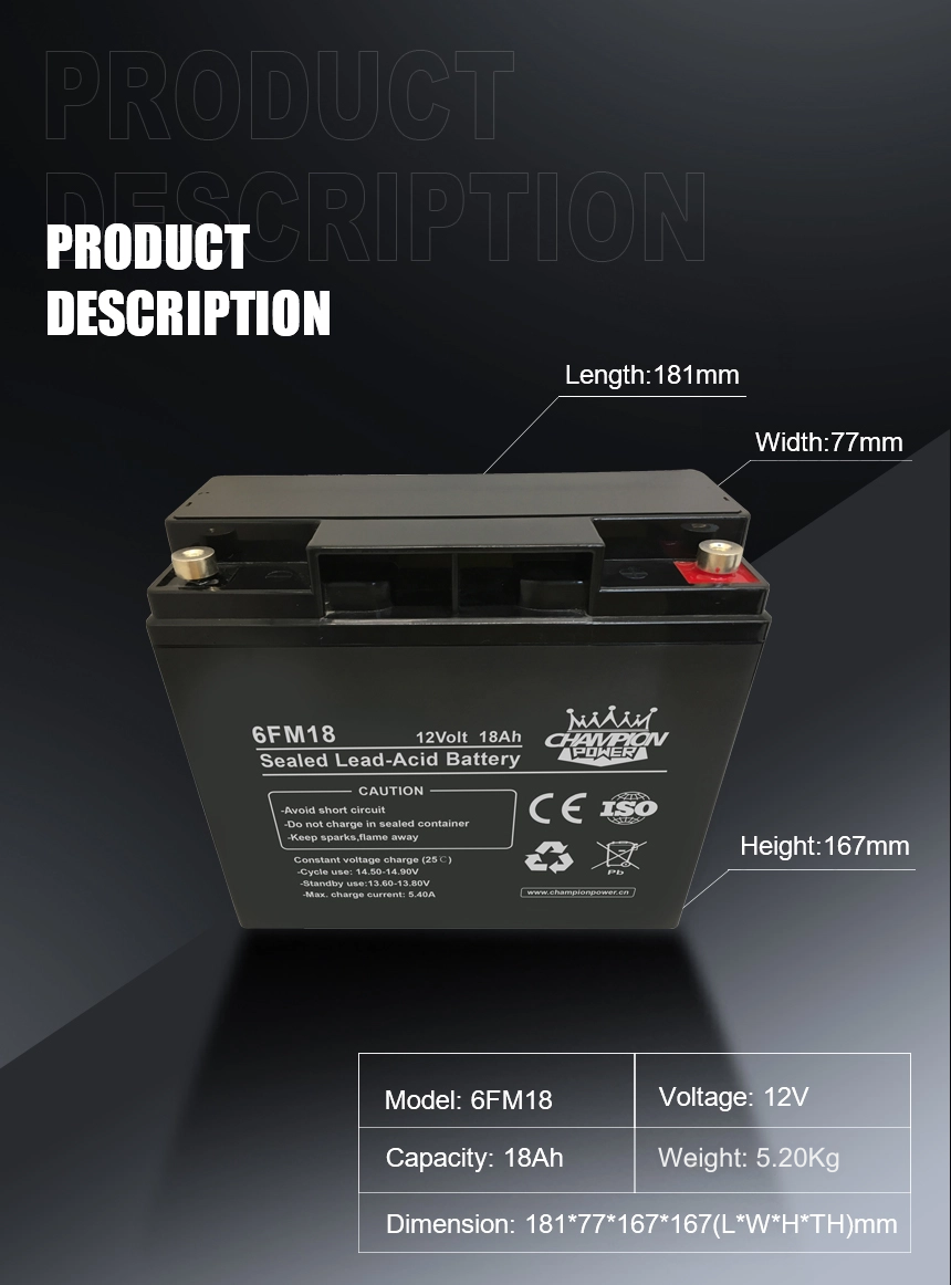 Batterie AGM 12V18AH
