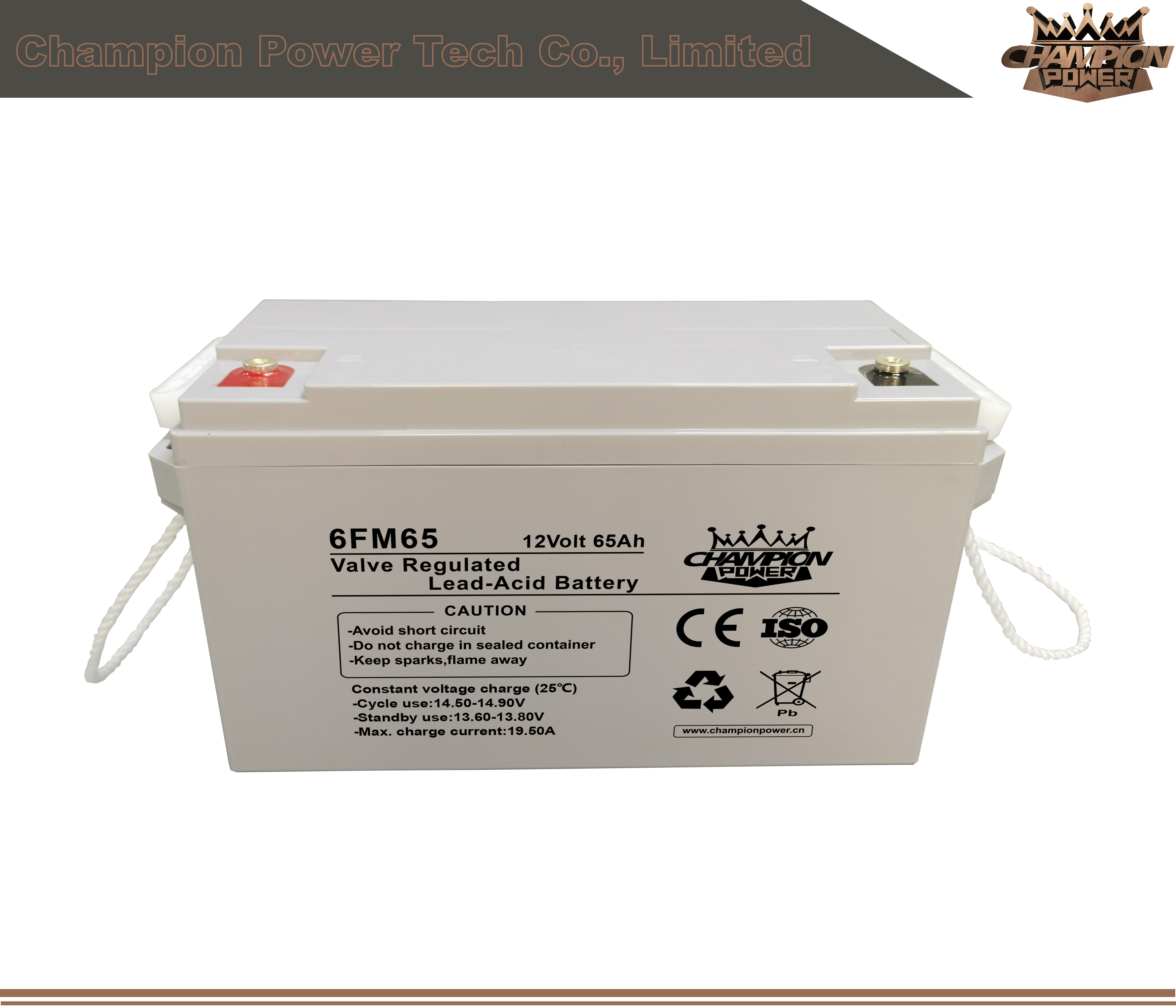 Batterie AGM 6FM65 12V65AH