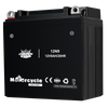 Batterie de moto 12N9 12V9AH