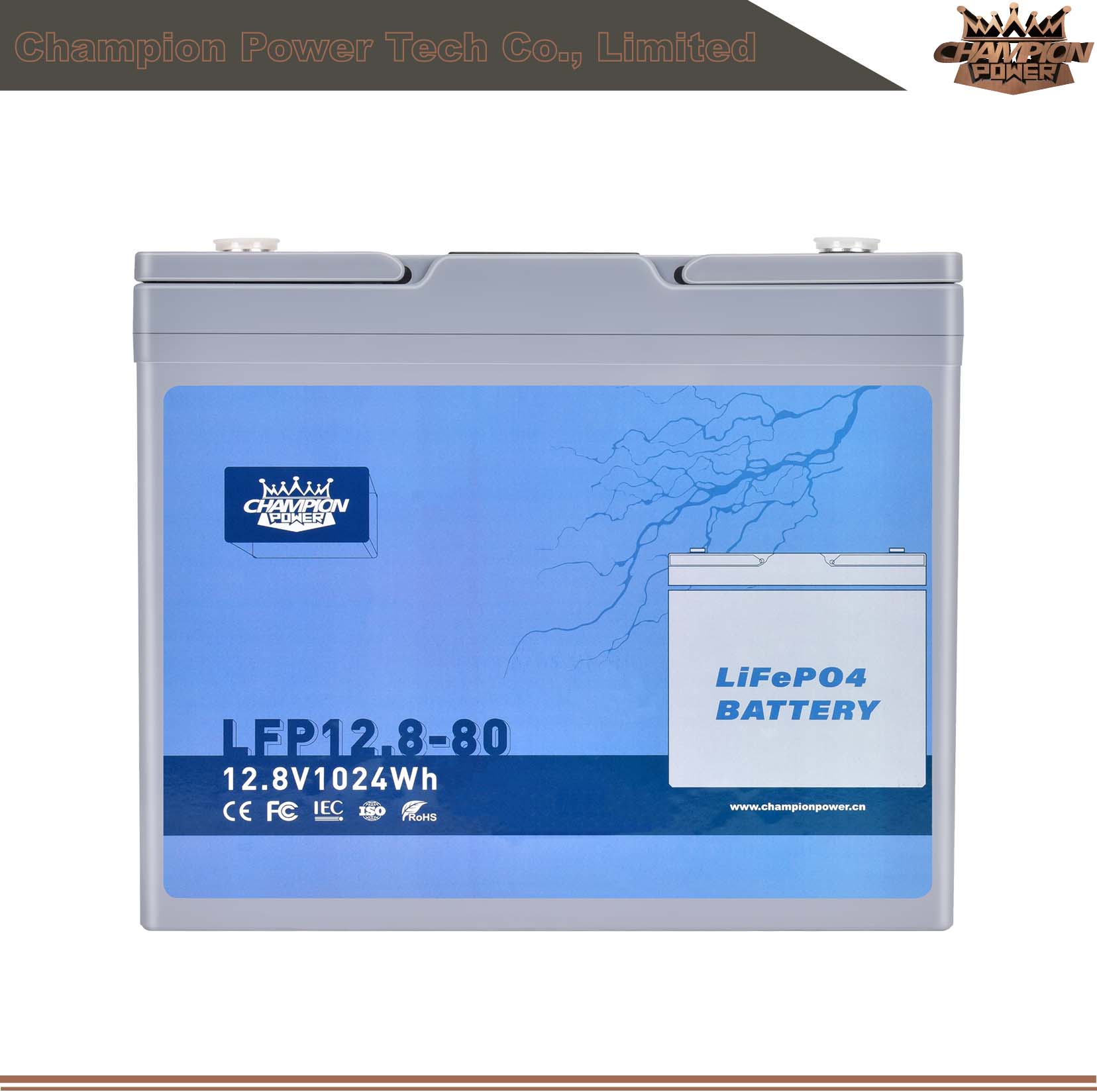 Batterie LFP12.8-80 12V80AH LIFEPO4