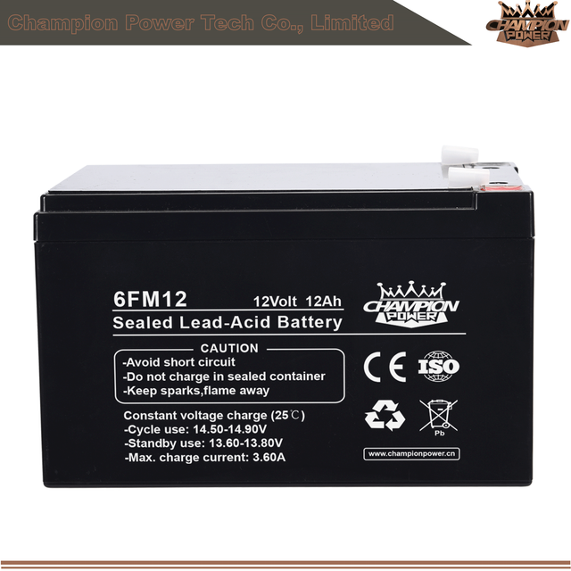 Batterie AGM 6FM12 12V12AH