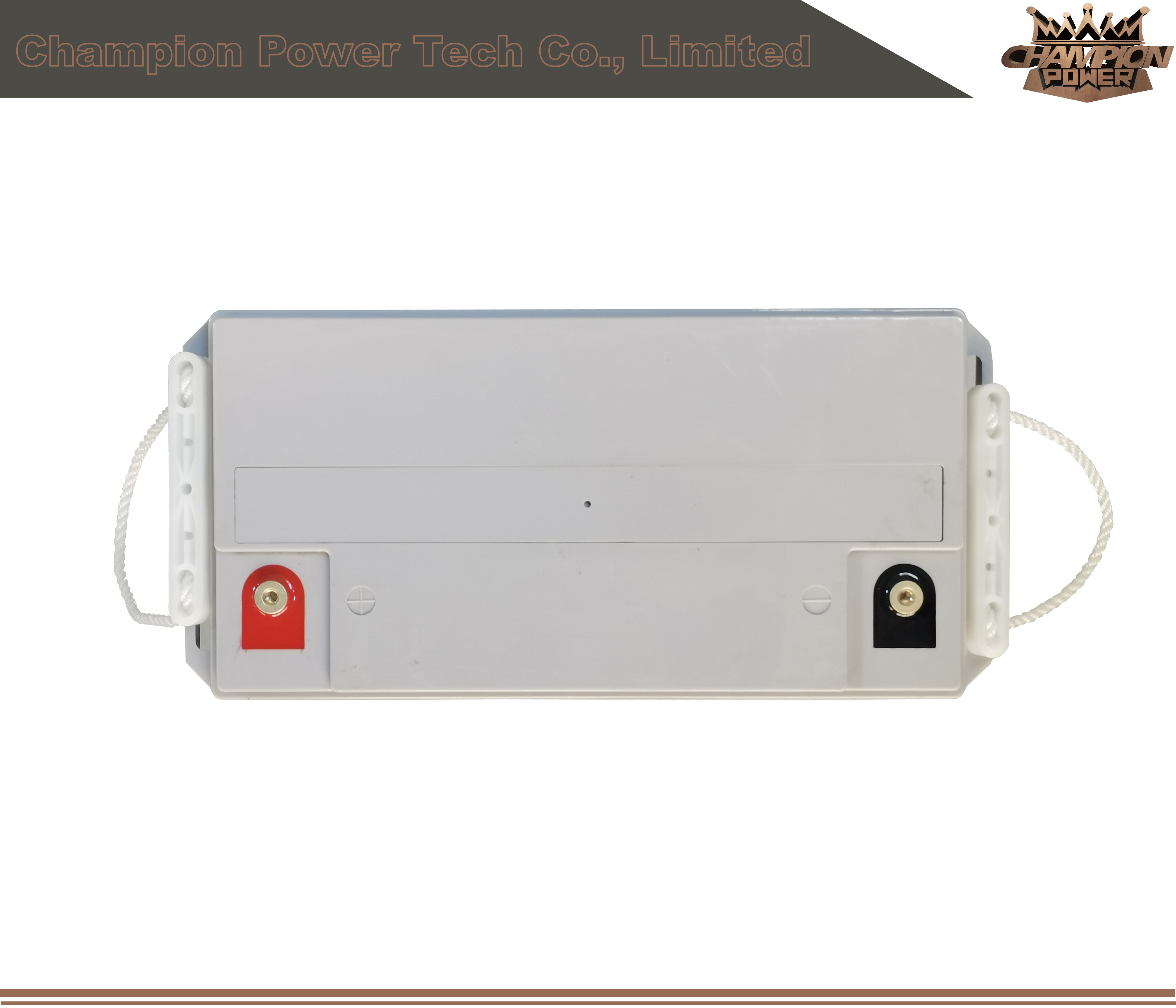 Batterie AGM 6FM60 12V60AH