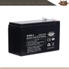 Batterie AGM 6FM8.0 12V8AH