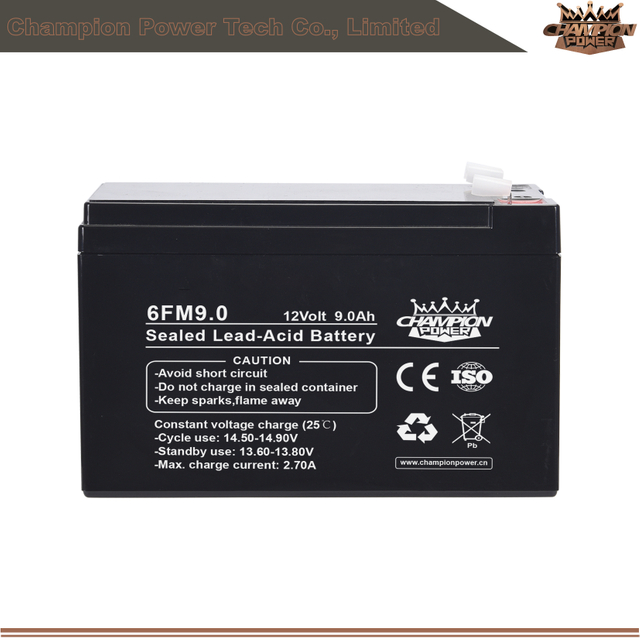 Batterie AGM 6FM9.0 12V9AH