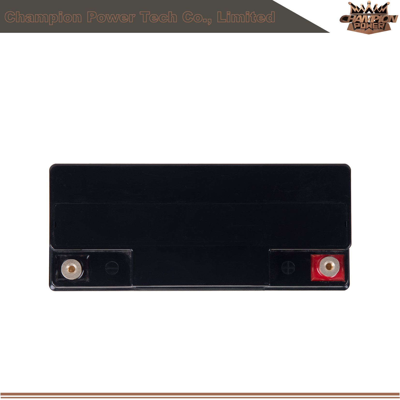 Batterie AGM 6FM18 12V18AH