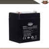 Batterie AGM 6FM5.5 12V5.5AH
